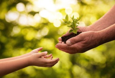 [CON NGƯỜI PHENIKAA] Giá trị của sự hạnh phúc