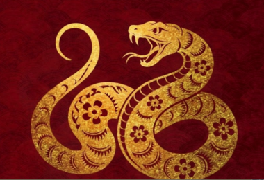 4 con giáp chậm mà chắc, sau 40 tuổi đột phá