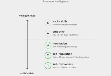 Cấu trúc của trí tuệ cảm xúc