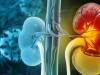 1 thói quen buổi tối có thể khiến thận xuống cấp nhanh chóng: Gặp ở rất nhiều người Việt