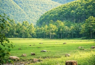 Việt Nam có một bãi cỏ mỗi năm chỉ nổi lên vài tháng rồi lại chìm xuống lòng hồ, cách Hà Nội đúng 80km