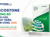 VICOSTONE CÔNG BỐ BÁO CÁO PHÁT TRIỂN BỀN VỮNG 2025