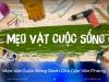 10 MẸO VẶT CUỘC SỐNG SIÊU HAY GIÚP DÂN VĂN PHÒNG SỐNG KHỎE, LÀM VIỆC HIỆU QUẢ